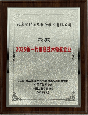 2025新一代信息技術(shù)領(lǐng)航企業(yè)
